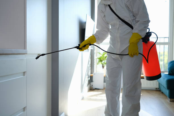 Office Mold Removal Services in Raintree Plantation, MO